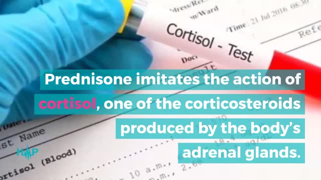 What Is Prednisone?