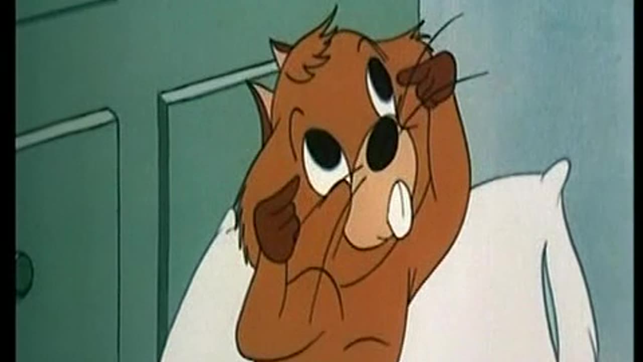 MGM Cartoons - 1954x08 - Sleepy-Time Squirrel