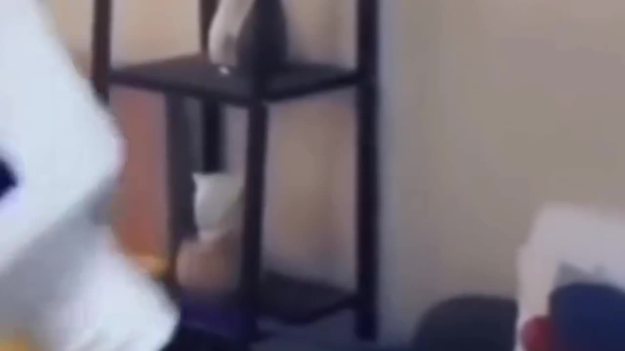 Funny Video Part 13 😂😂