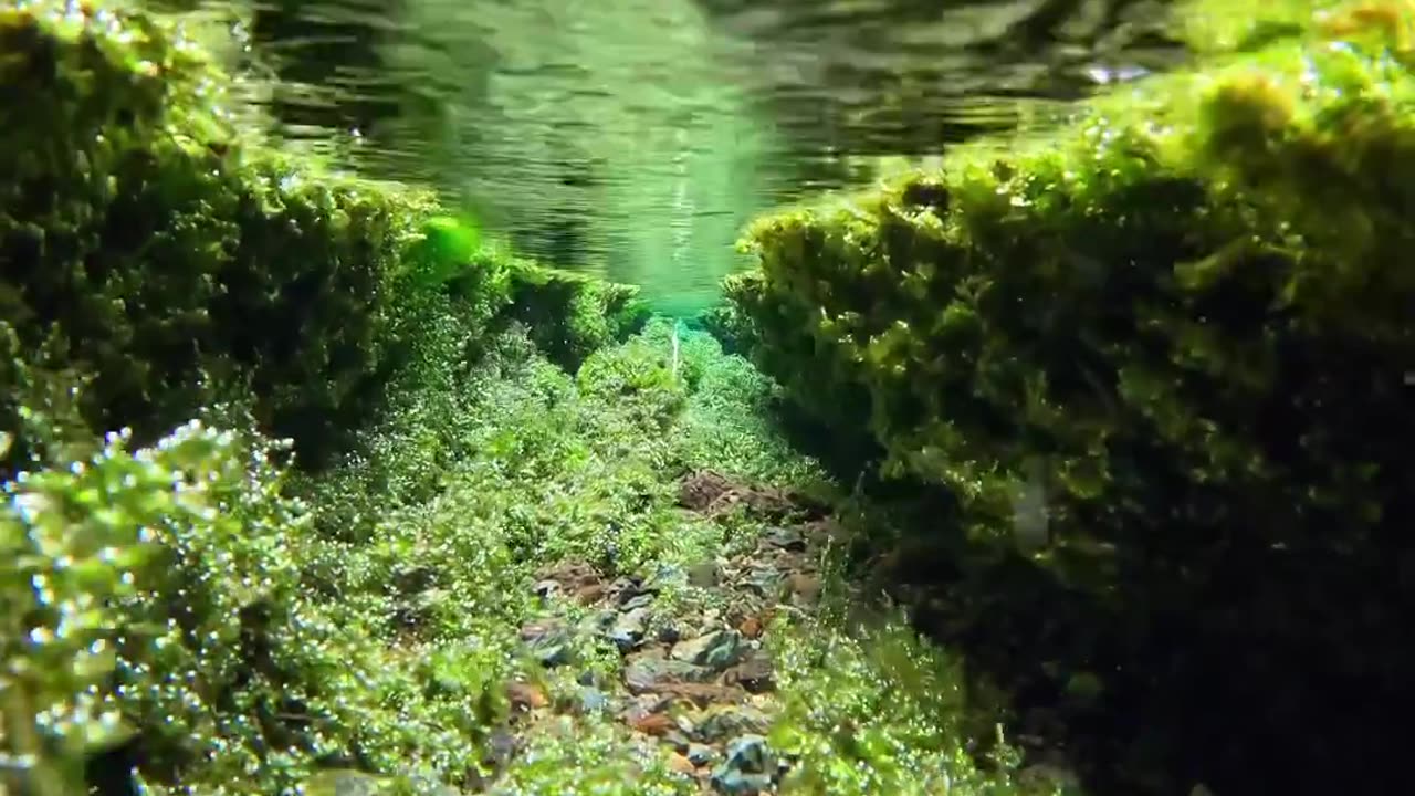 World 🌎 is very beautiful ❤️ under water🌊