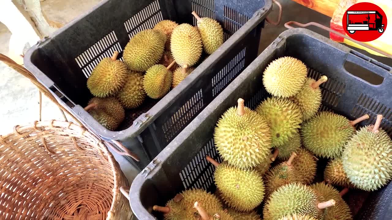 Durian Kampung Malaysia