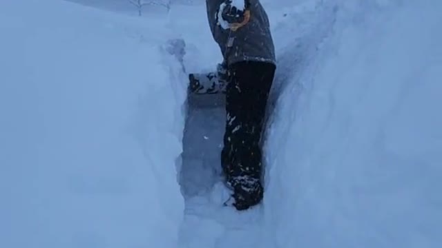 making my husband dig a tunnel to my neighbor so