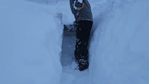 making my husband dig a tunnel to my neighbor so