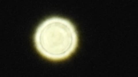 VENUS 11-17-24 at 5:30 pm Henderson Nevada Nikon P950