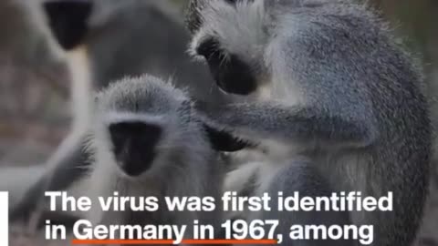 The WEF has officially begun a propaganda campaign for Marburg.