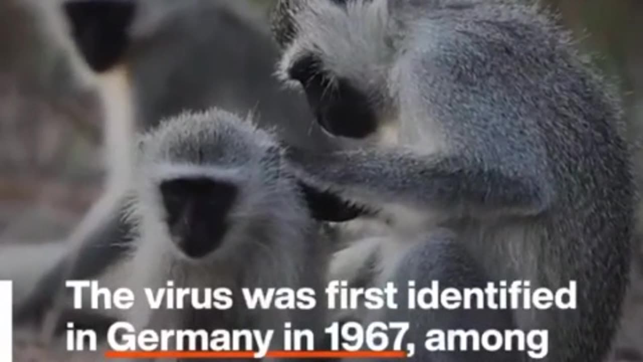 The WEF has officially begun a propaganda campaign for Marburg.