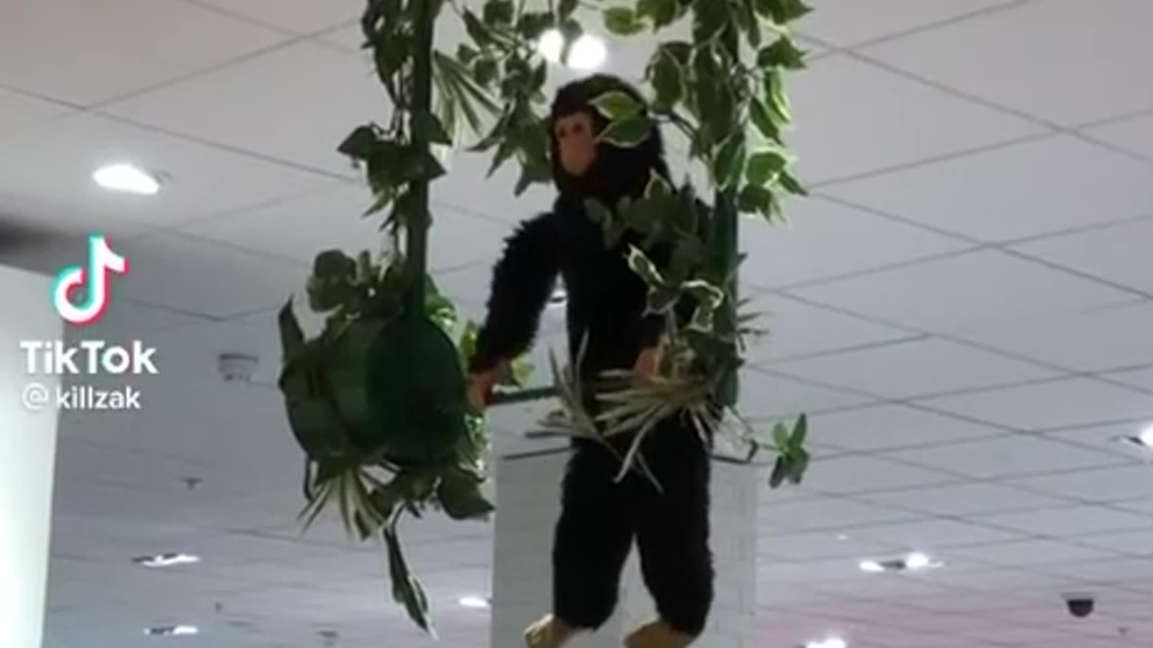 honey monkey