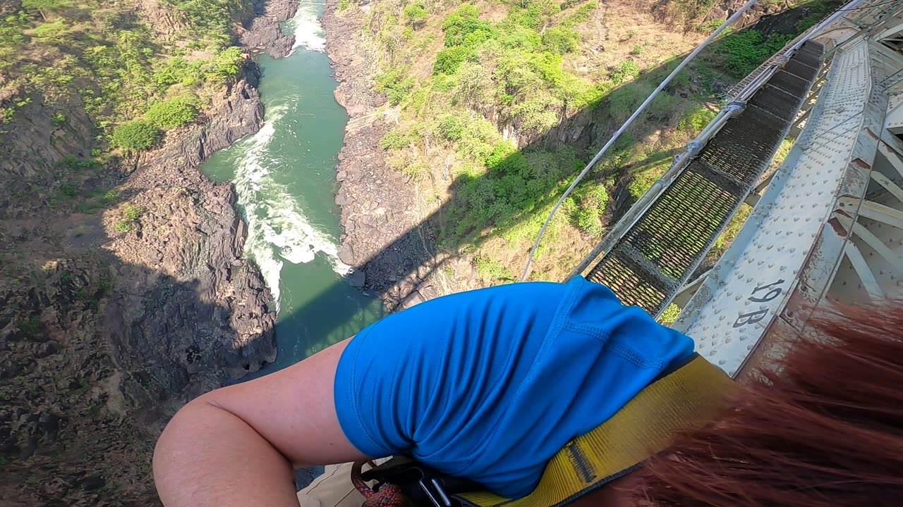 My Wife Jumped Off A Bridge