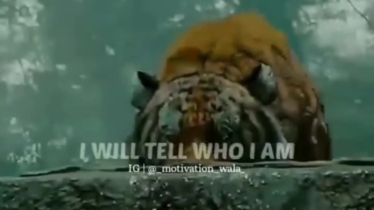 Attitude