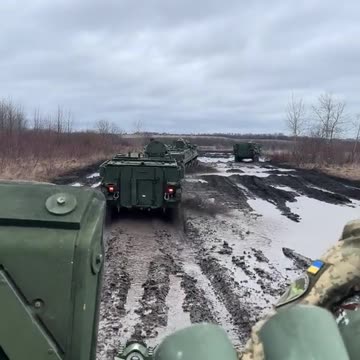 🇺🇦 A column of "M1126 Stryker" at the disposal of the 80th ODSHBr.