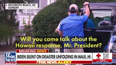 Maui Biden Response