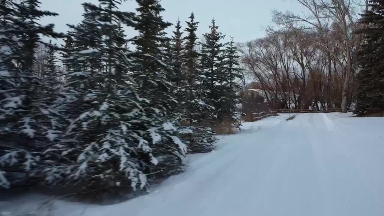 DJI Mini 2 Second flight around the Tree Farm