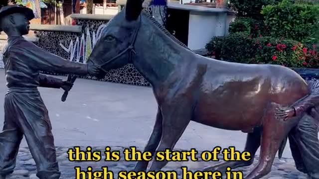 November in PuertoVallarta