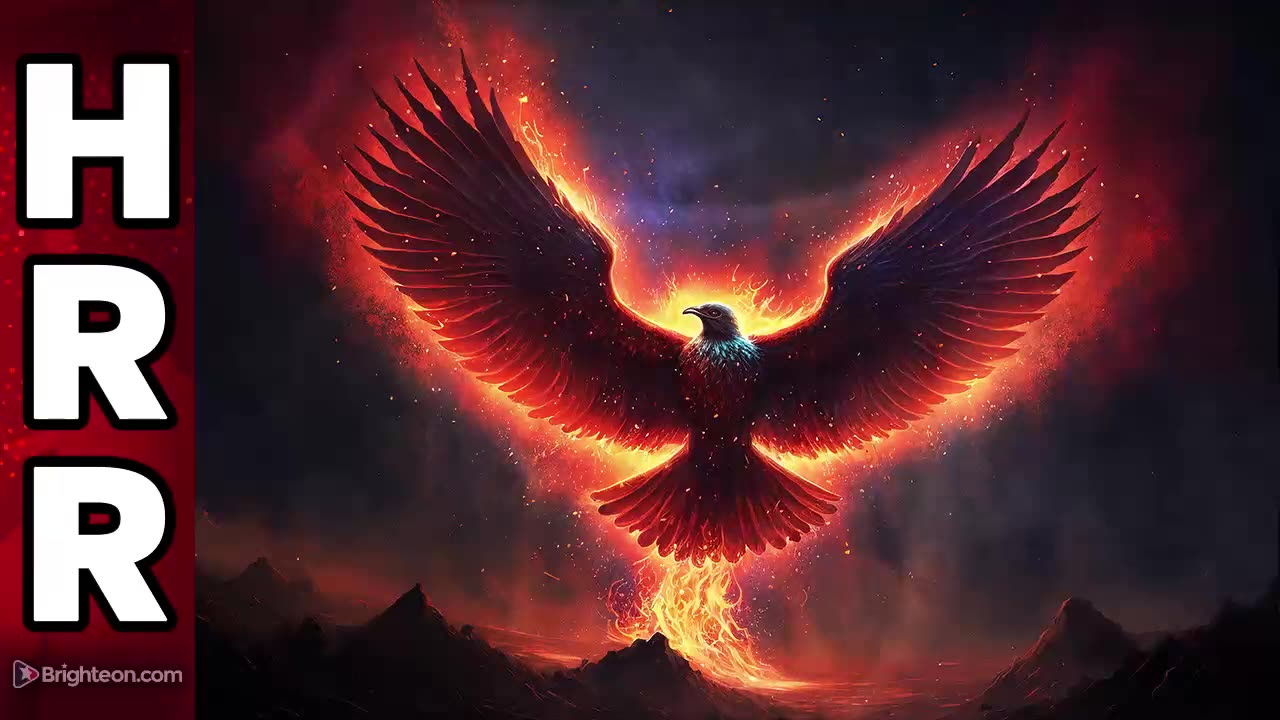 They tried to kill us all... and FAILED... and now we are stronger than ever