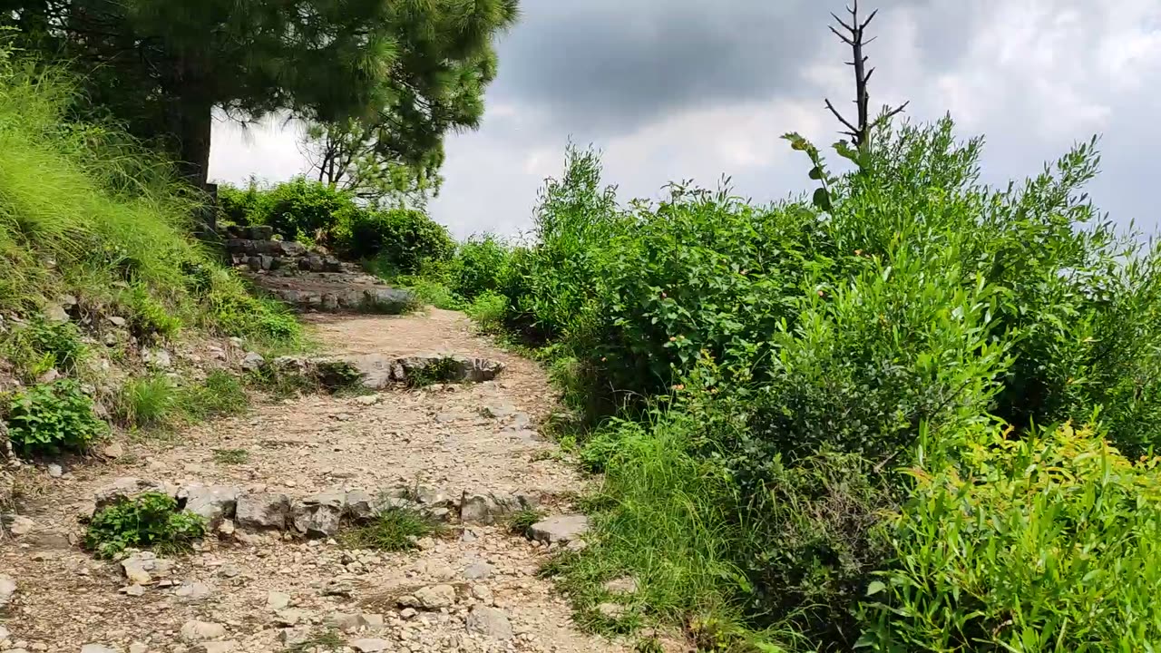 Rawal Lake From Margala