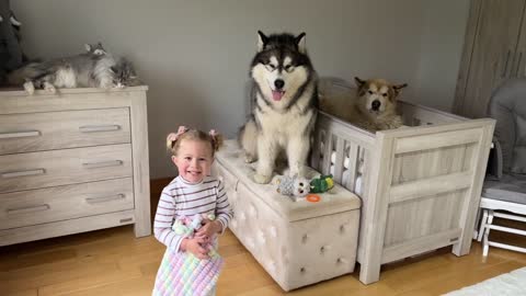 Adorable Baby Girls Puts Her Dog To Bed Even Reads Him A Story!