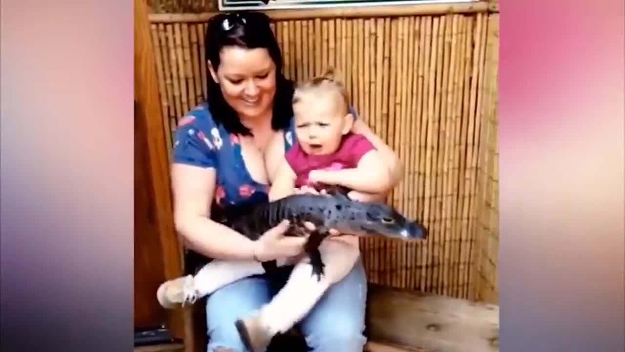 Babies meeting animals for the first time Fail Videos