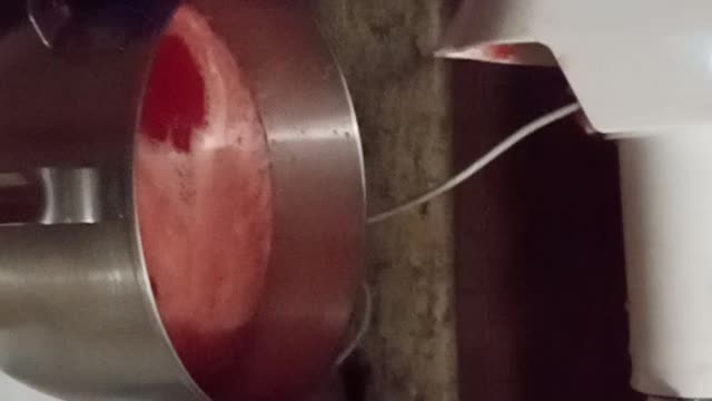 Homestead tomato juice