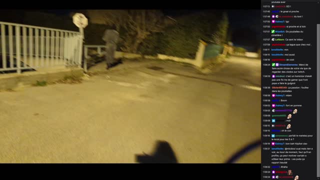 2023-01-06 (6) - Rencontre avec un voisin menaçant - Twitch Triskelina (extrait)