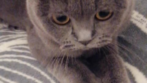 Miya doesn't like being filmed