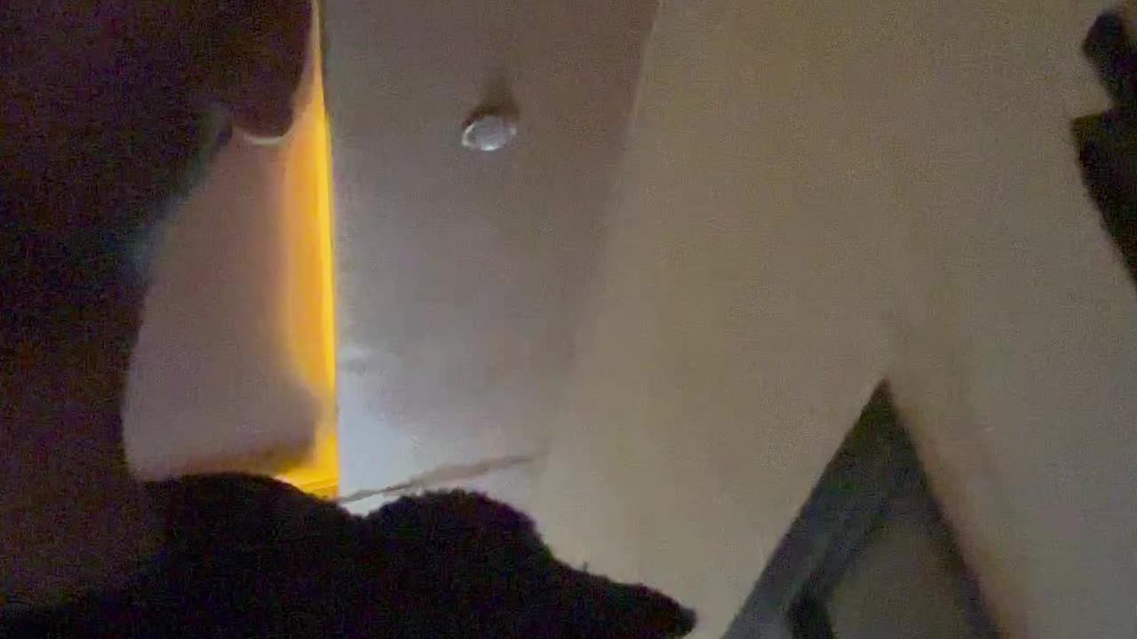 First vlog | He sang a song๐๐ฑ๐ฑ