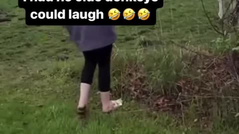 Funny donkey voice