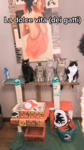 fact checkers LuigiiBaratiri willy