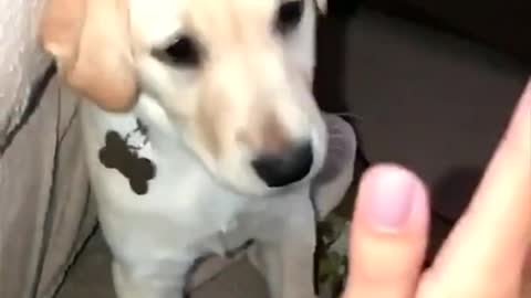 here’s sailor doing a high five 🙂