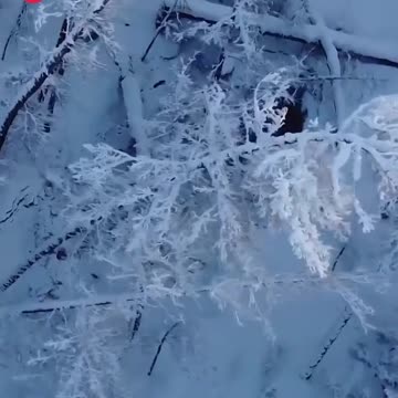 -50 in Yakutia. Kids need to play