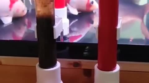 Smart trick for cleaning fishtank