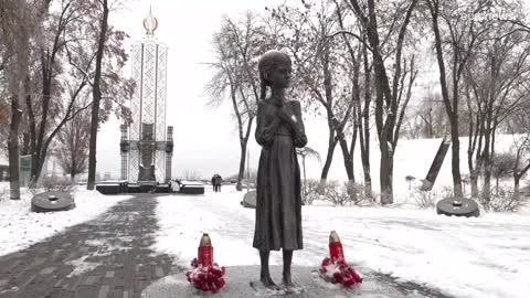 Holodomor Germany's parliament recognises Ukraine's 1930s famine as 'genocide'