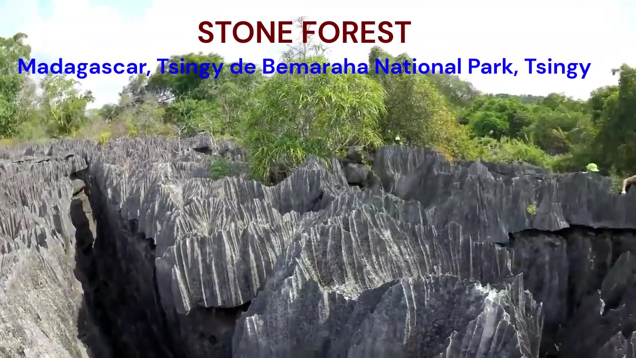 STONE FOREST! Madagascar, Tsingy de Bemaraha National Park, Tsingy