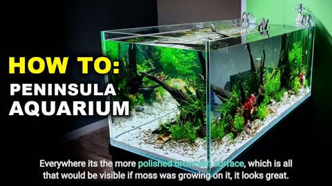 Penn-Plax Presents The AquaTerrium 2.65 Gallon Planting Tank-Overview