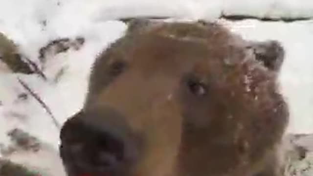 Really funny video for you 🤣