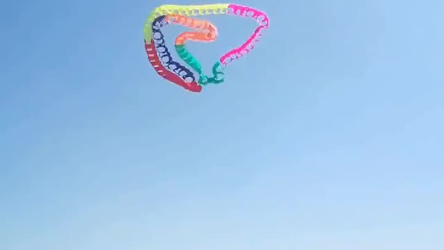 Snake Kite in the Sky of Yangjiang city