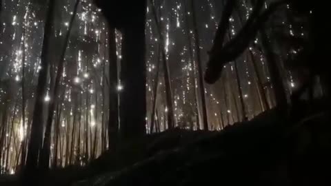 🌌 Ukraine Russia War | Surreal Footage: Russians Bombarding Kreminna Forest with Illuminating | RCF