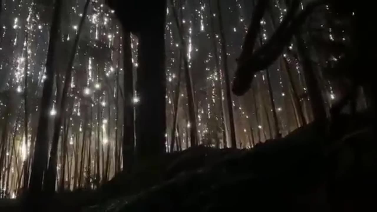 🌌 Ukraine Russia War | Surreal Footage: Russians Bombarding Kreminna Forest with Illuminating | RCF