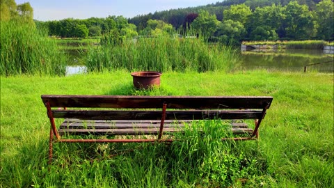 Picturesque lake in Hungary, Salgótarján