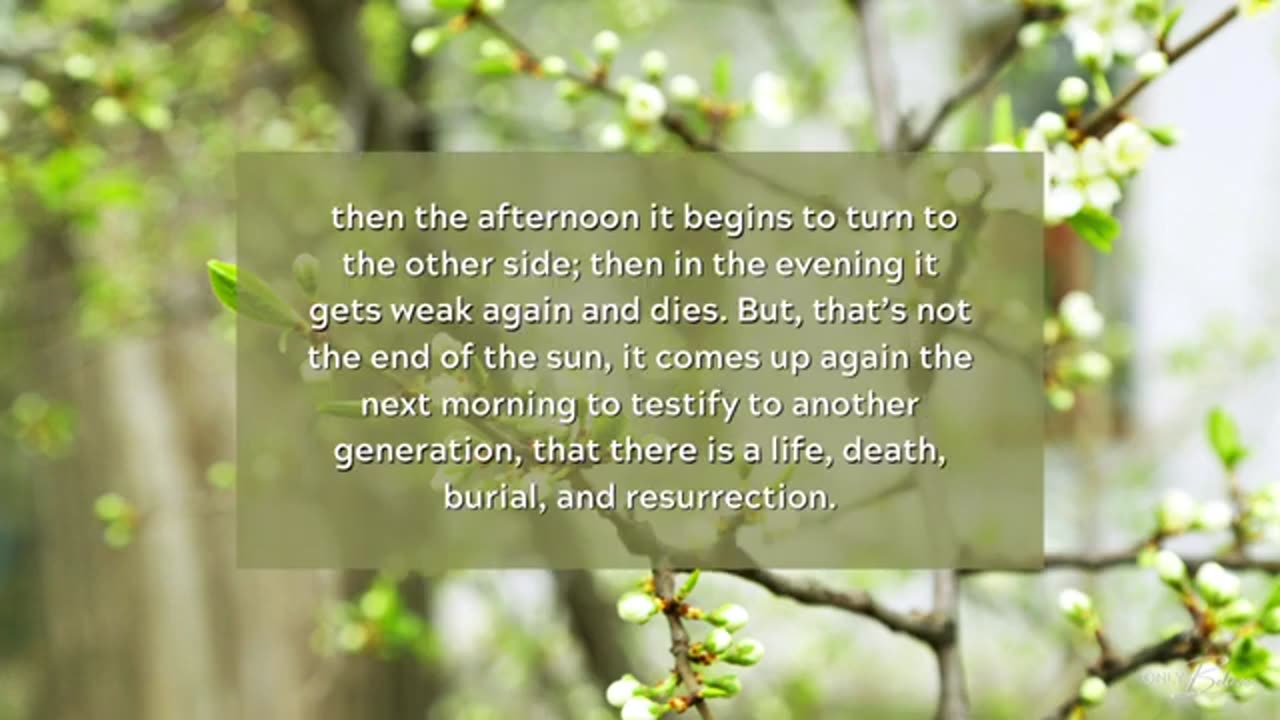 Nature Testifies of God