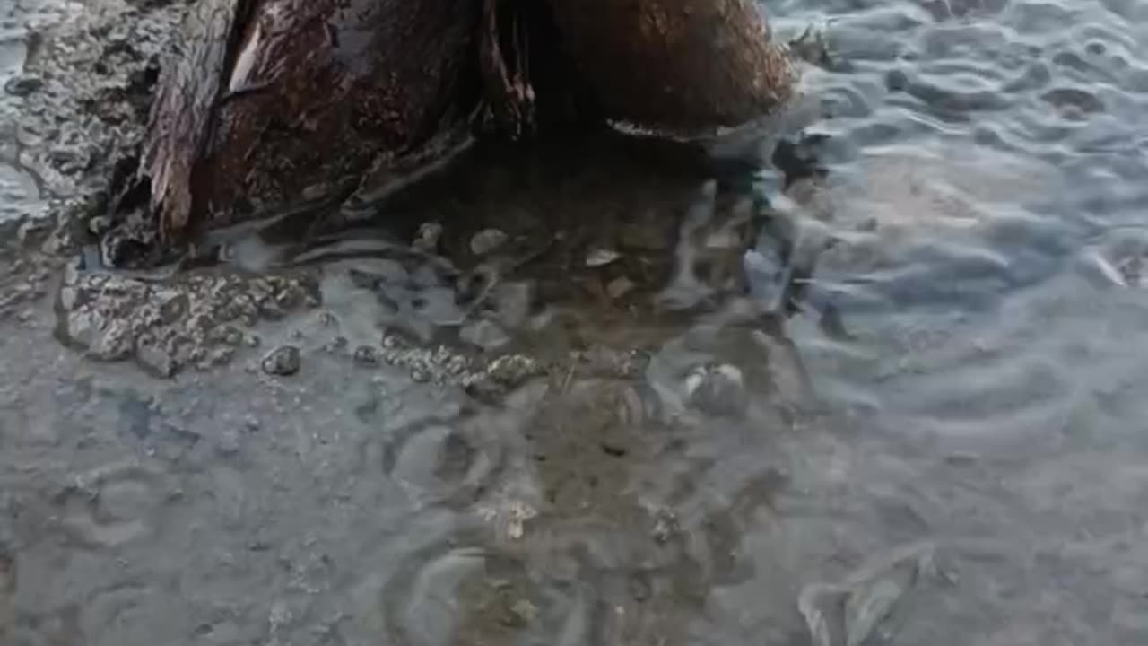 The beautiful sound of water 🤗🤗