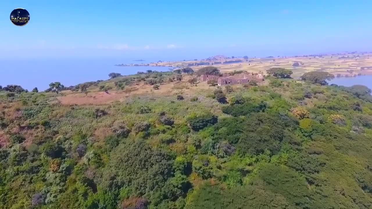 44ቱ ጎርጎራ !!