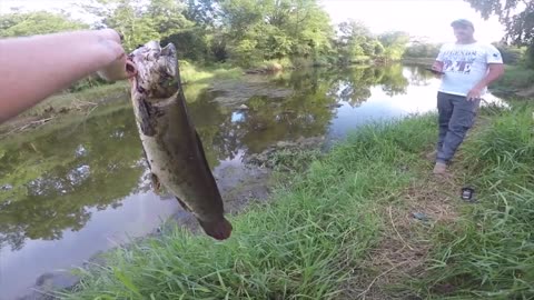 Man Catches Angriest Fish EVER