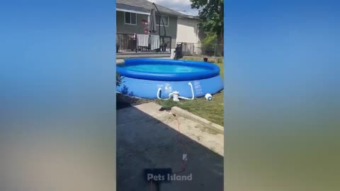 The latest fails compilation ever - Funny fails - watch and unleash the laughter
