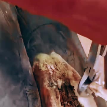 CURIOSIDADE - Arrumando o Casco do Cavalo