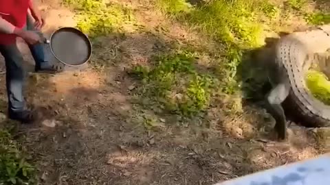 fails Funny