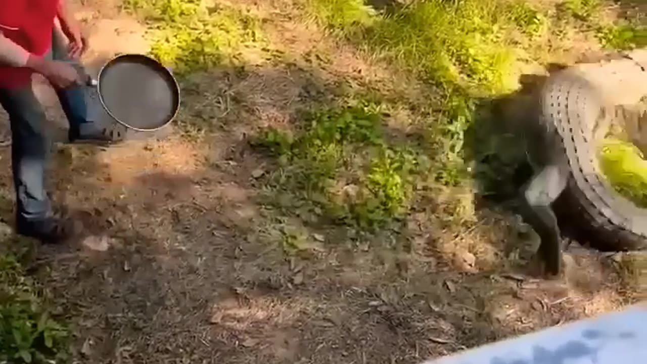 fails Funny