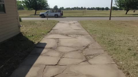 Grass Mowing