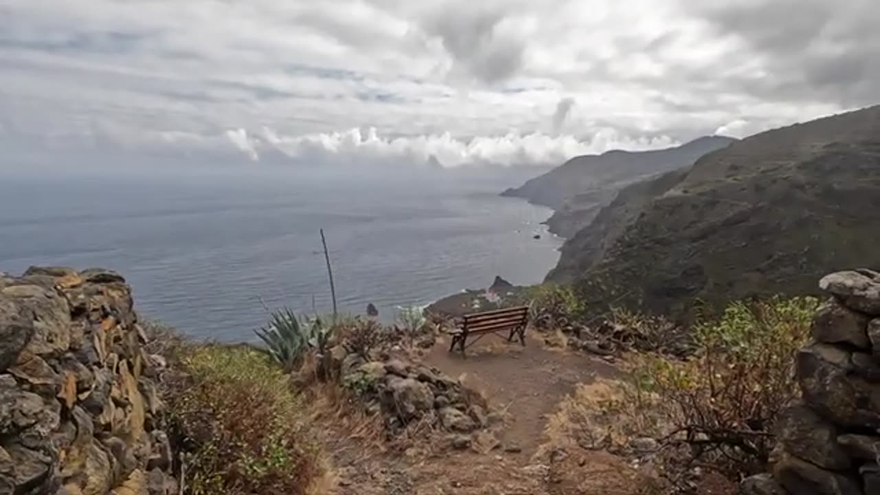 Bushcraft Bear Laid Back Hike ~ In search of the precious treasure of La Palma! ~ Outdoor tour with overnight stay and campfire 🤗