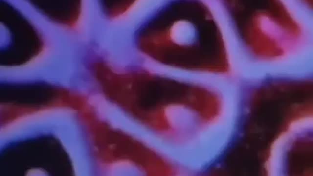 Cymatics: The Architecture of Sound