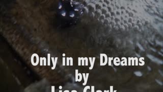Only in my dreams, by Lisa Clark